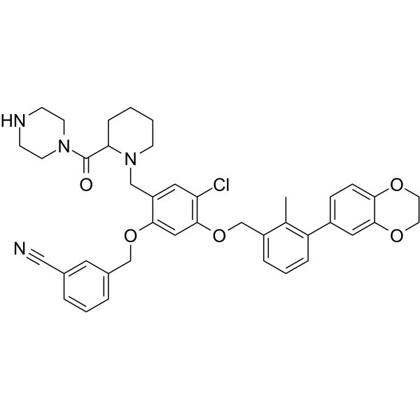 BMS-1166-N-piperidina-CO-N-piperazina Nº CAS: 2447066-14-8